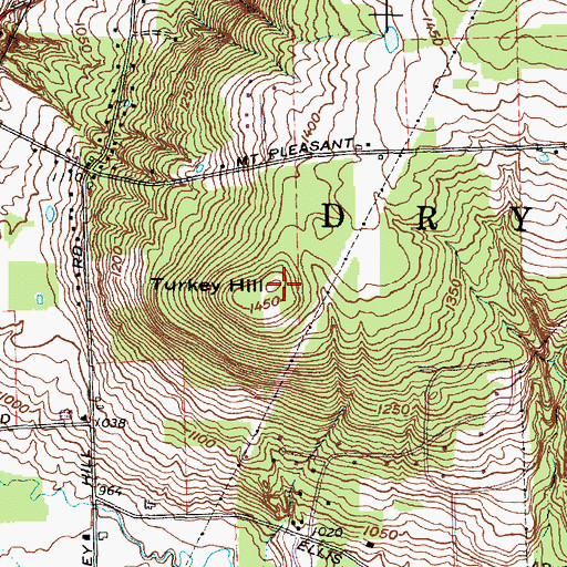 Topographic Map of Turkey Hill, NY