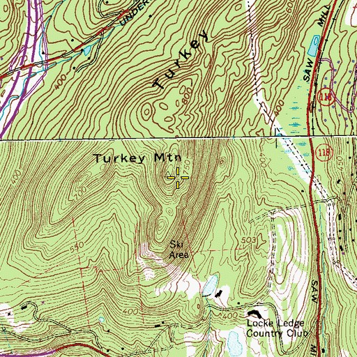 Topographic Map of Turkey Mountain, NY