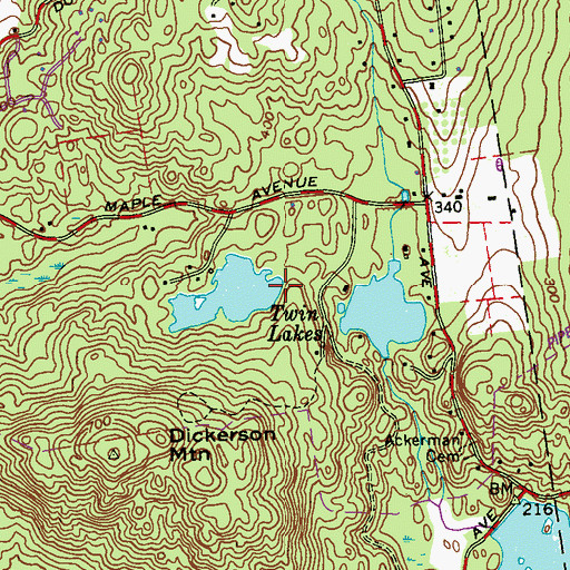 Topographic Map of Twin Lakes, NY