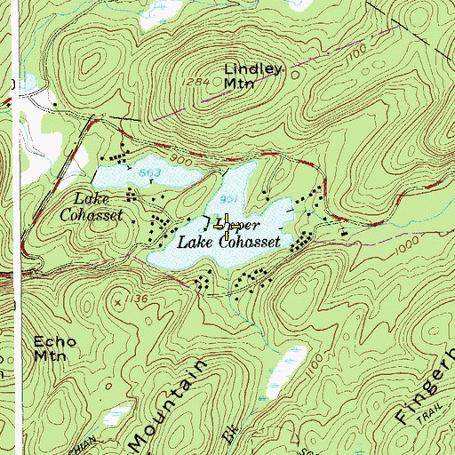 Topographic Map of Upper Lake Cohasset, NY