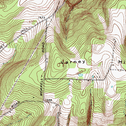 Topographic Map of Varney Hill, NY