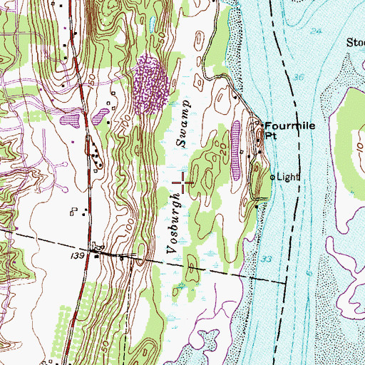Topographic Map of Vosburgh Swamp, NY