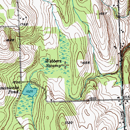 Topographic Map of Webbers Swamp, NY