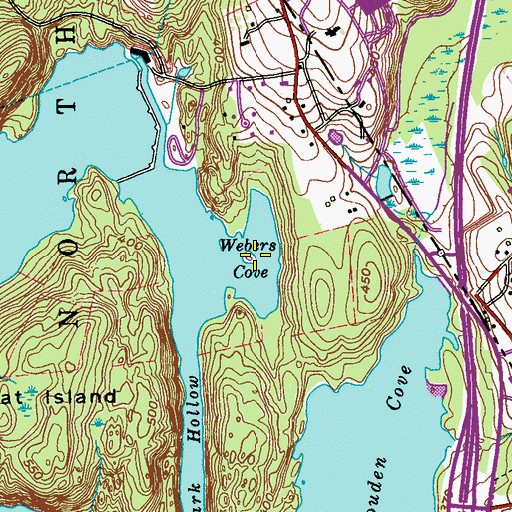 Topographic Map of Webers Cove, NY