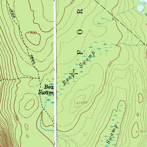 Topographic Map of Bear Swamp, NY