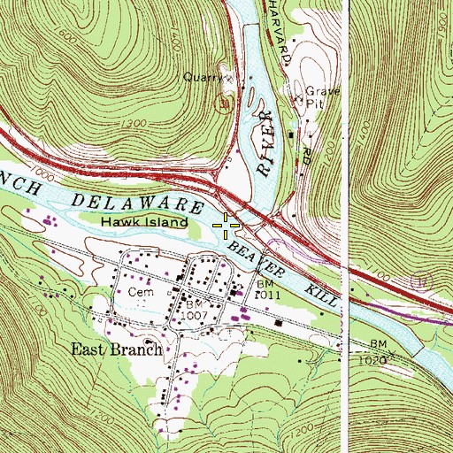 Topographic Map of Beaver Kill, NY