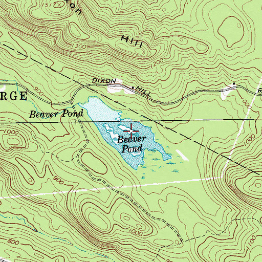 Topographic Map of Beaver Pond, NY