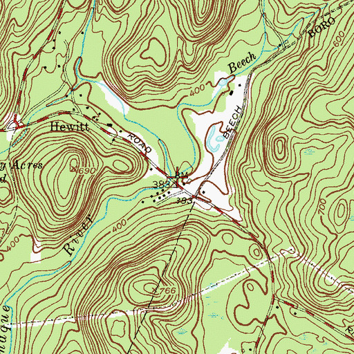Topographic Map of Beech Brook, NY