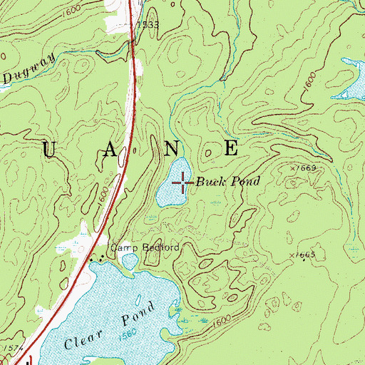 Topographic Map of Buck Pond, NY