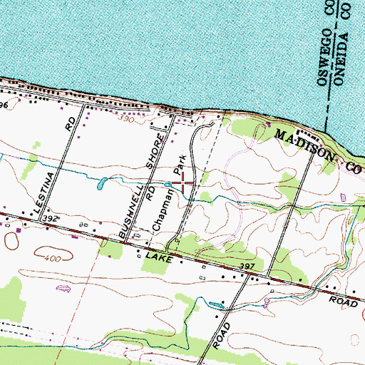 Topographic Map of Chapman Park, NY