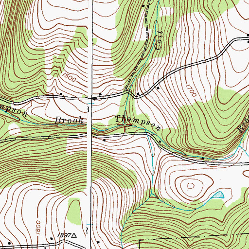 Topographic Map of Coit Brook, NY