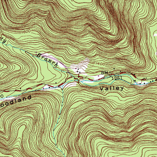 Topographic Map of Dougherty Branch, NY