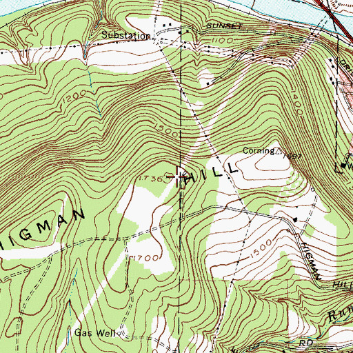Topographic Map of Higman Hill, NY