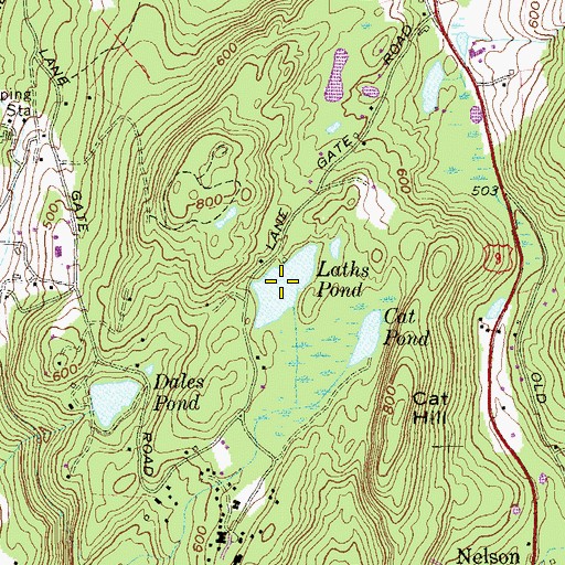Topographic Map of Laths Pond, NY