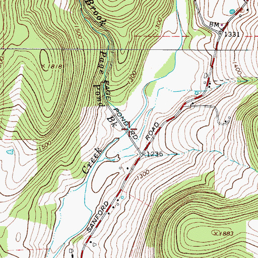 Topographic Map of Page Pond Brook, NY