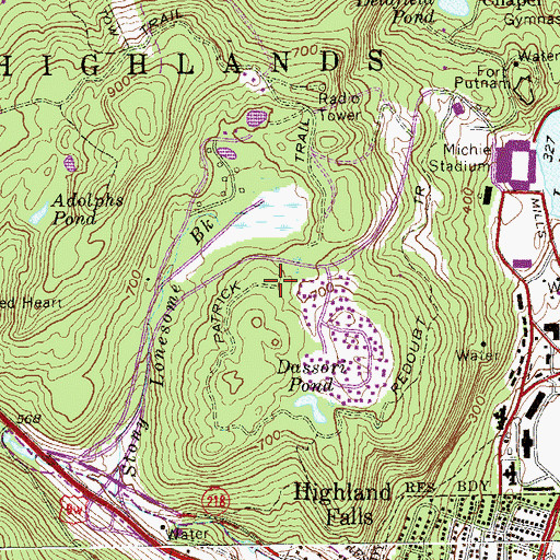 Topographic Map of Patrick Trail, NY