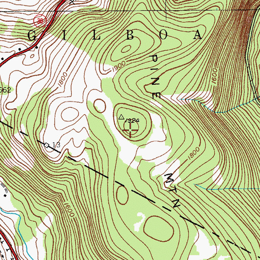 Topographic Map of Pine Mountain, NY