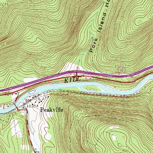 Topographic Map of Pork Island Hollow, NY