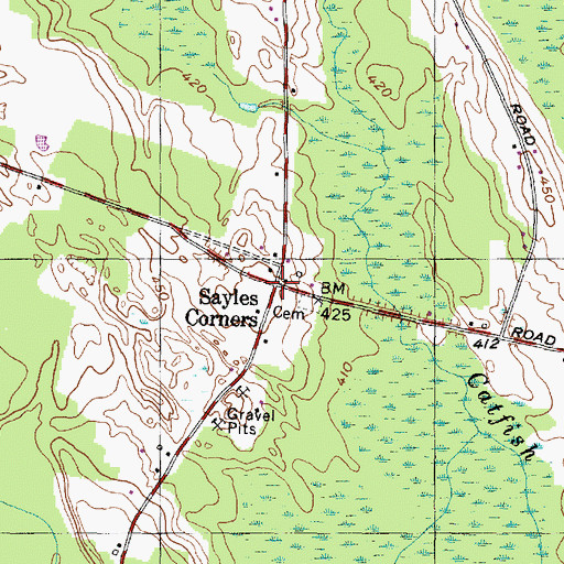 Topographic Map of Sayles Corners, NY