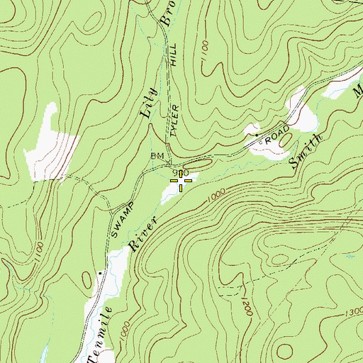 Topographic Map of Smith Mill Brook, NY