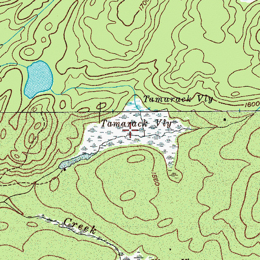 Topographic Map of Tamarack Vly, NY