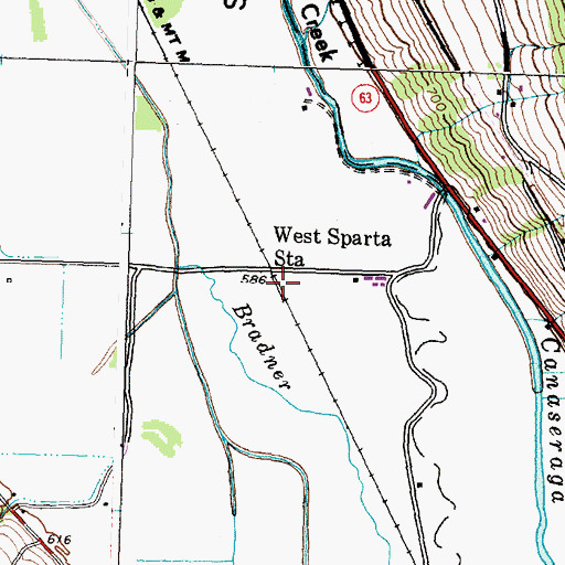 Topographic Map of West Sparta Station, NY