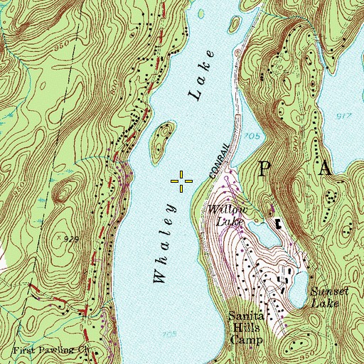 Topographic Map of Whaley Lake, NY