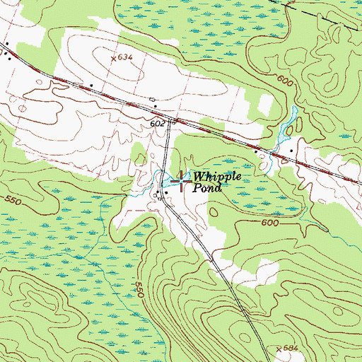 Topographic Map of Whipple Pond, NY
