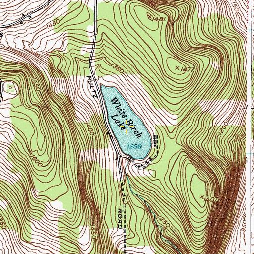 Topographic Map of White Birch Lake, NY