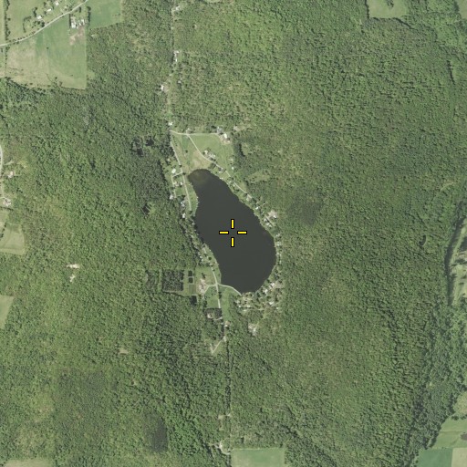 Aerial/Satellite Image of White Birch Lake, NY
