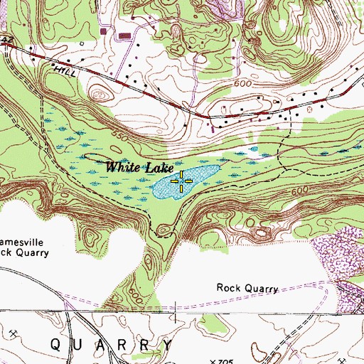 Topographic Map of White Lake, NY