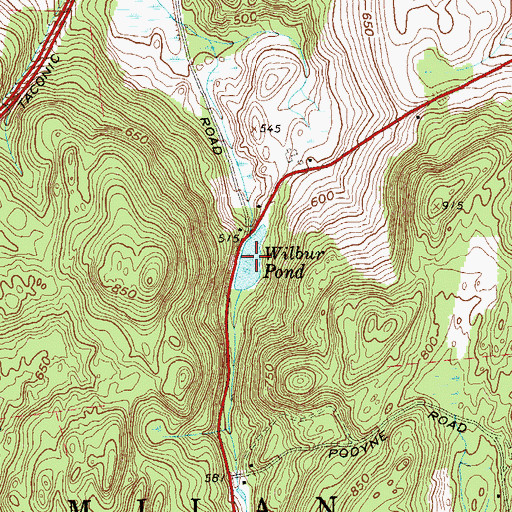 Topographic Map of Wilbur Pond, NY