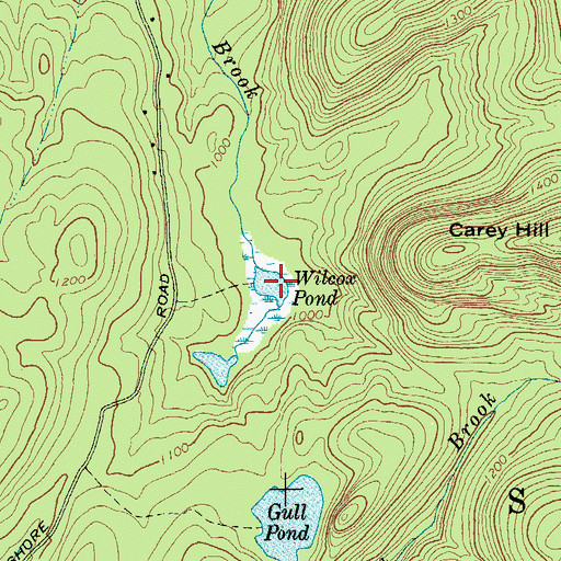 Topographic Map of Wilcox Pond, NY