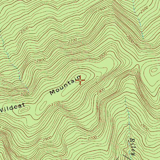 Topographic Map of Wildcat Mountain, NY