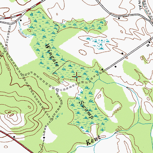 Topographic Map of Wingate Swamp, NY