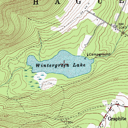 Topographic Map of Wintergreen Lake, NY