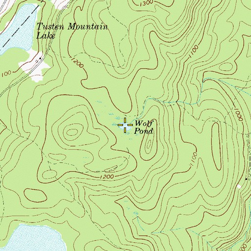 Topographic Map of Wolf Pond, NY