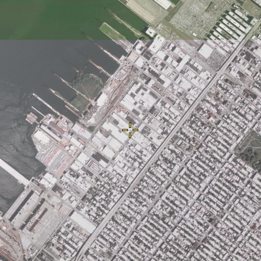 Aerial/Satellite Image of Bay Ridge Flats, NY
