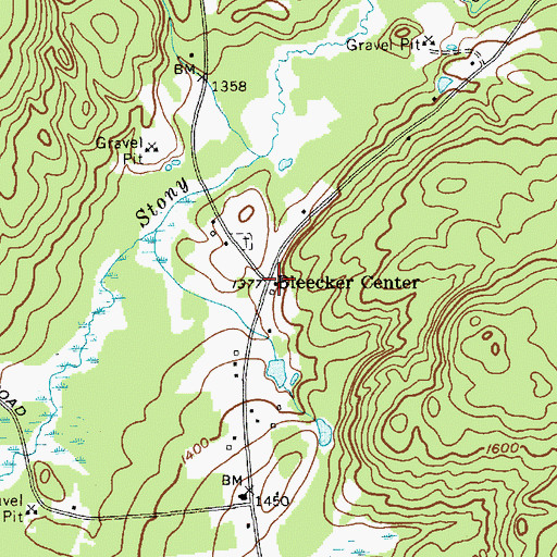 Topographic Map of Bleecker Center, NY