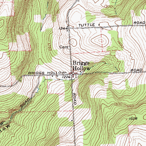 Topographic Map of Briggs Hollow, NY