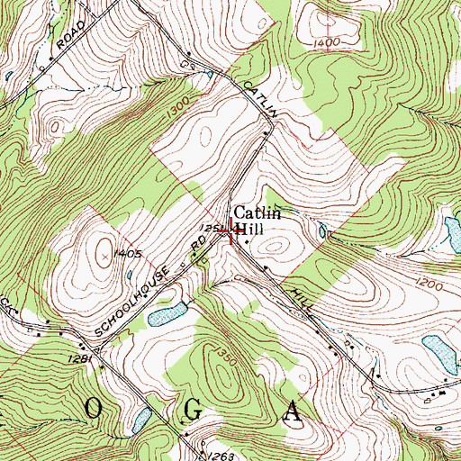 Topographic Map of Catlin Hill, NY