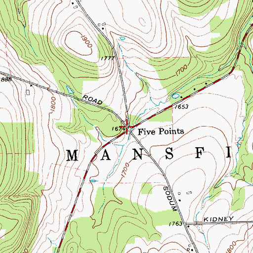 Topographic Map of Five Points, NY