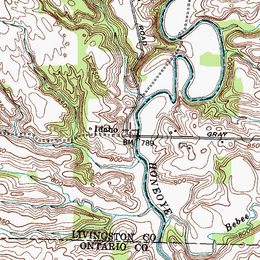 Topographic Map of Idaho, NY