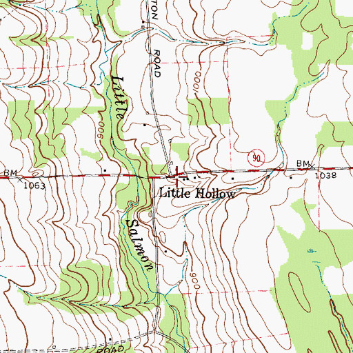 Topographic Map of Little Hollow, NY