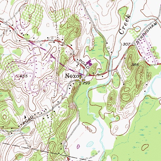 Topographic Map of Noxon, NY