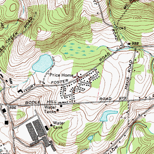 Topographic Map of Price Home, NY