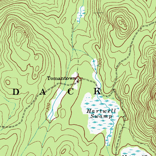 Topographic Map of Tomantown, NY