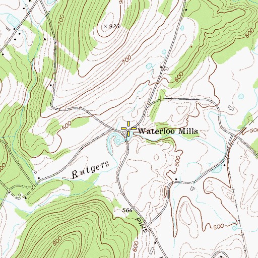 Topographic Map of Waterloo Mills, NY