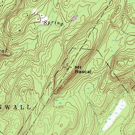 Topographic Map of Mount Rascal, NY
