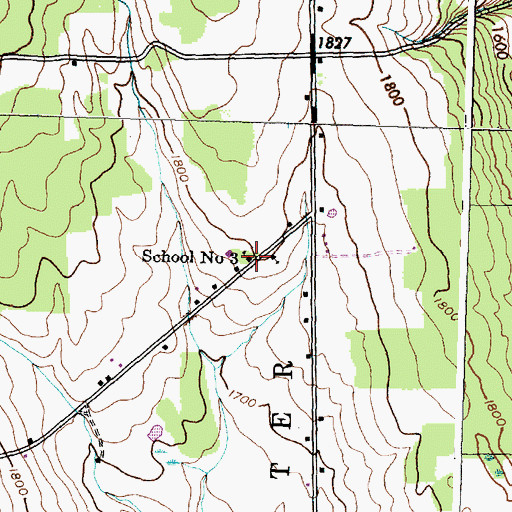 Topographic Map of School Number 3 (historical), NY